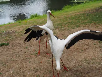 Kasteeltuinen Arcen (Nederland)